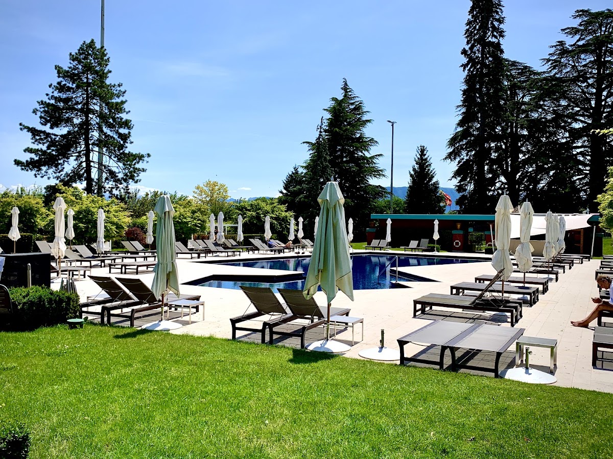 La Réserve Genève Hotel & Spa, dog-friendly hotel, photo 4