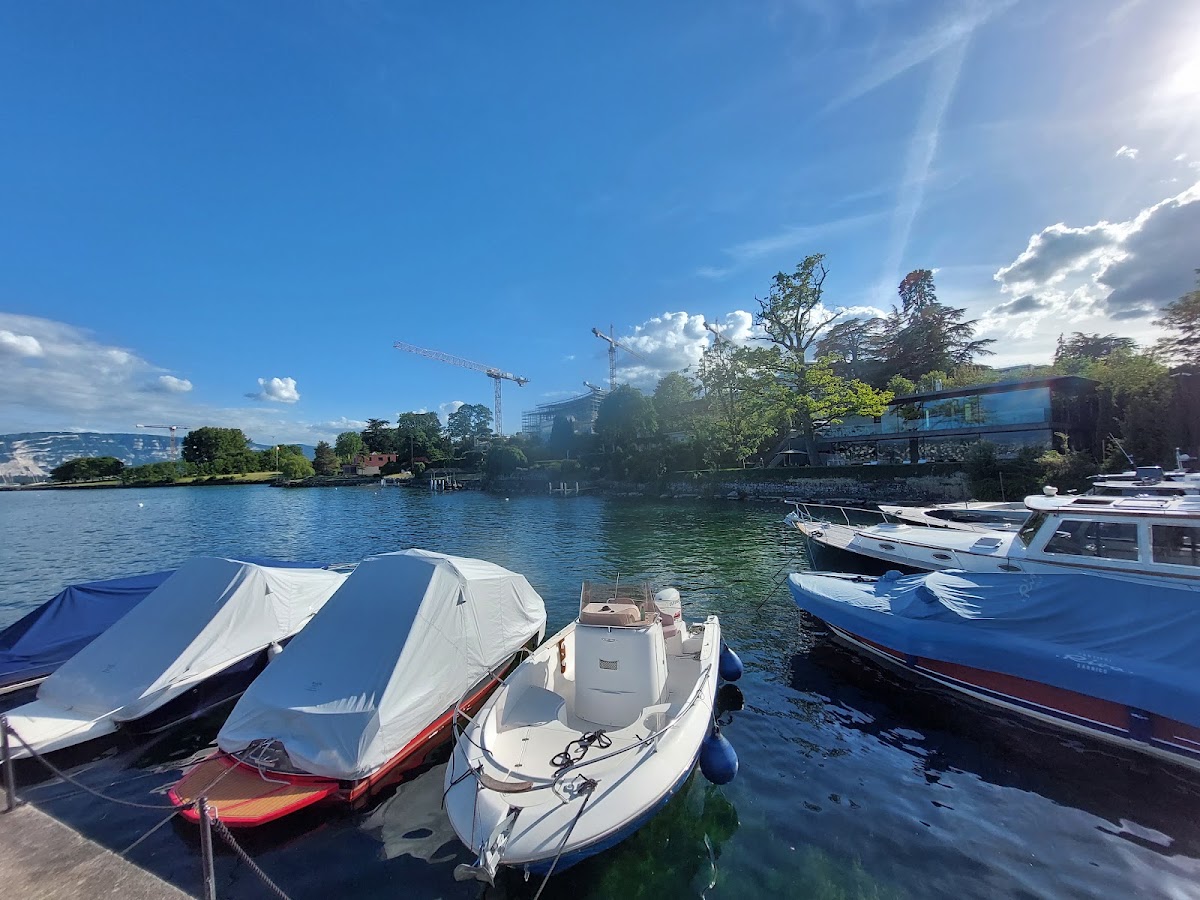 La Réserve Genève Hotel & Spa, dog-friendly hotel in Geneva
