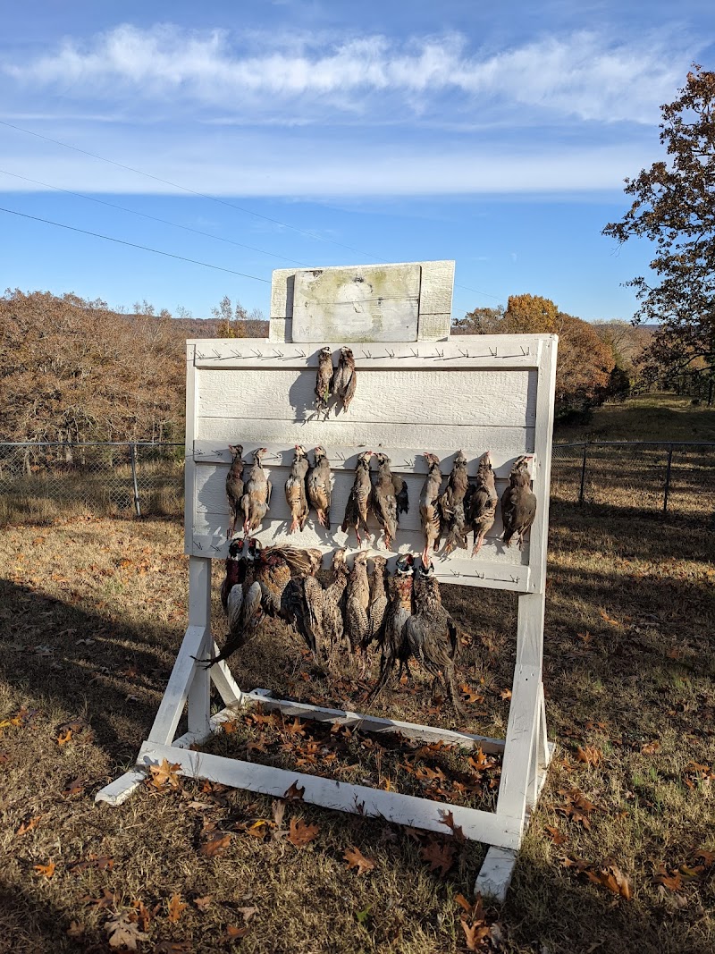 Quail Mountain Hunting Preserve - Photo 1
