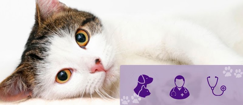 Ánade Centro Veterinario