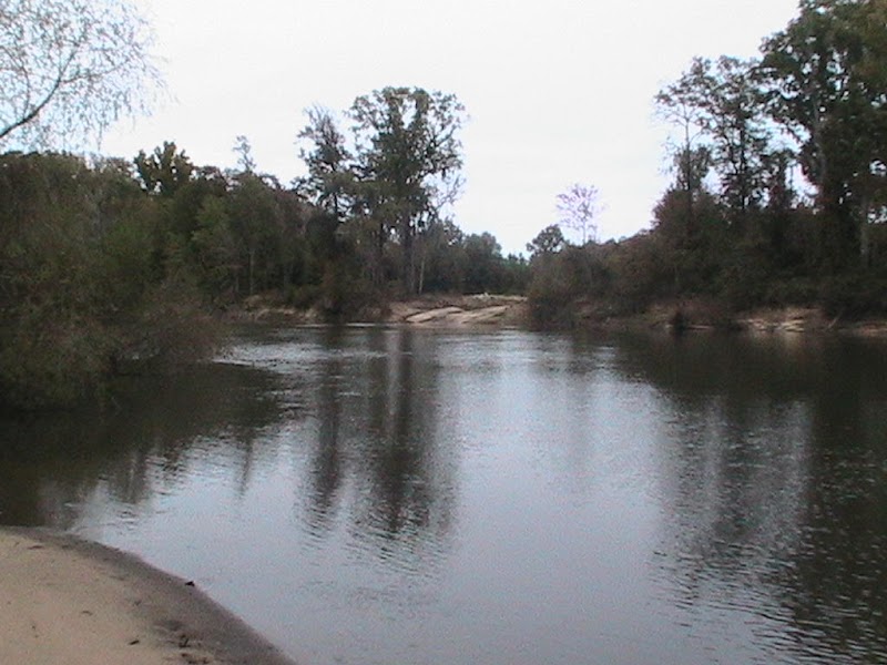 Gum Log Plantation - Photo 3