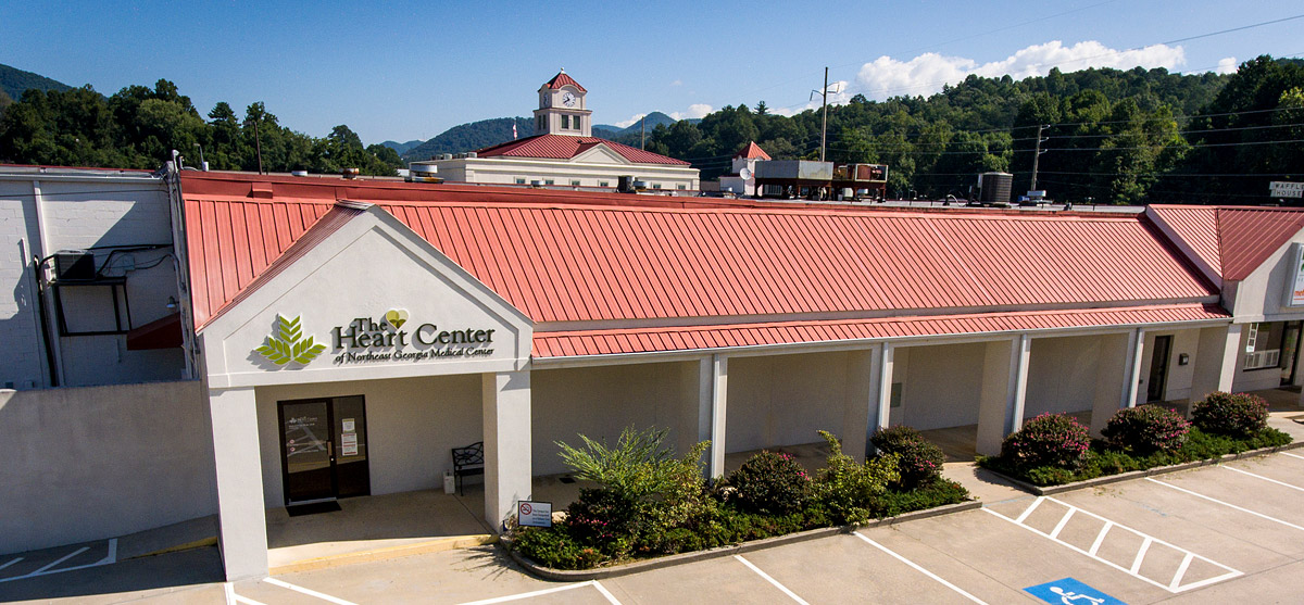 Georgia Heart Institute