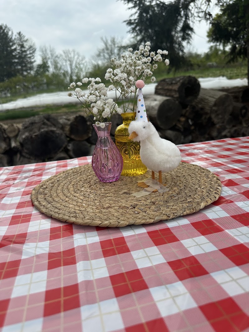 All One One All Farm photo 4