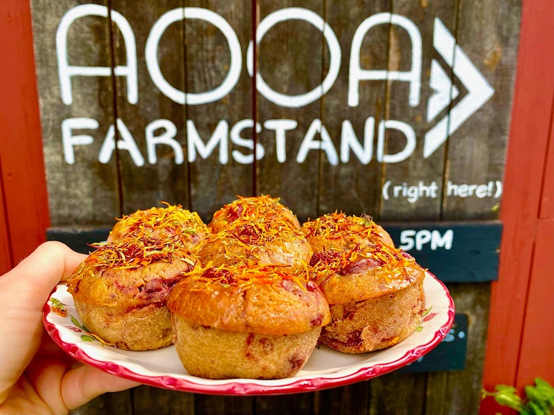 All One One All Farm photo 2