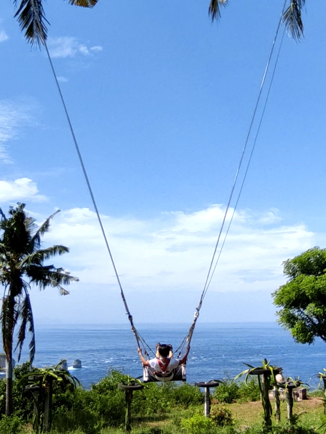 Nusa Penida Swing