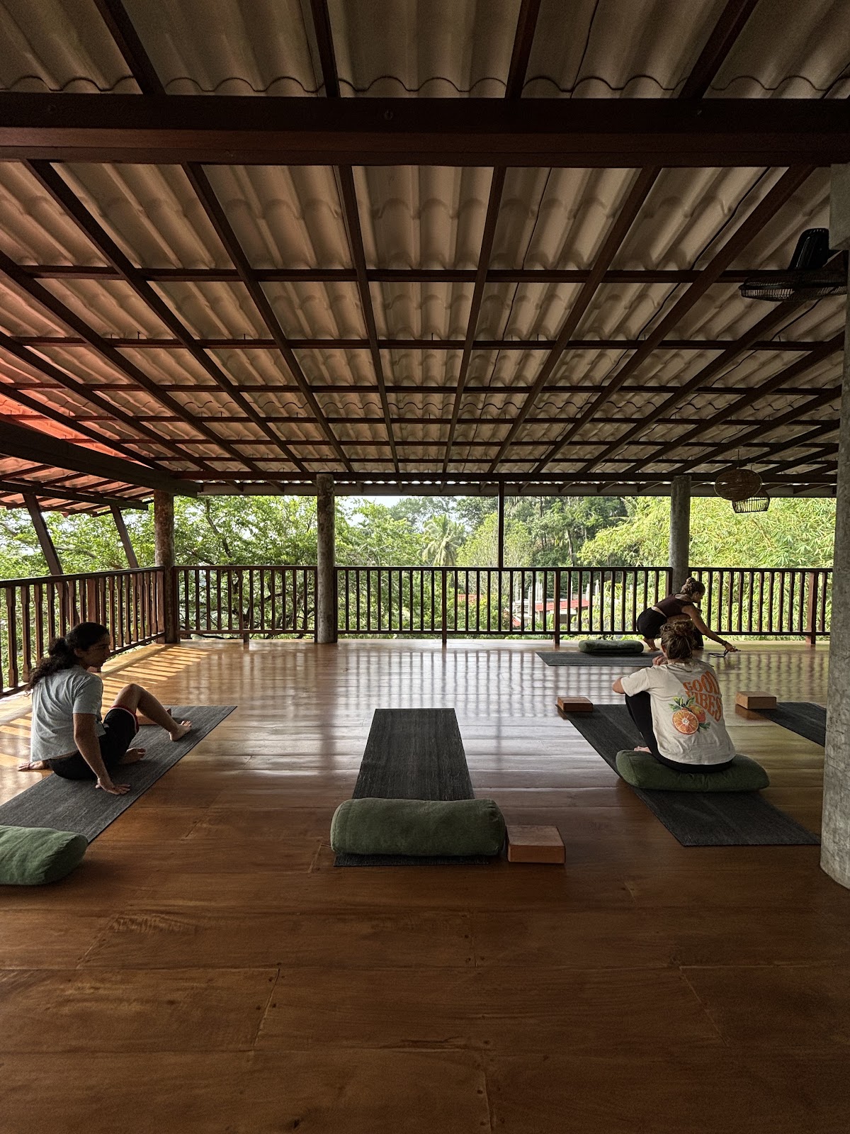 Yoga studio - The jungle view