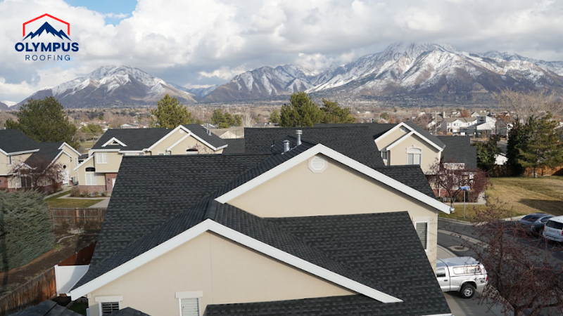 Olympus Roofing photo 1