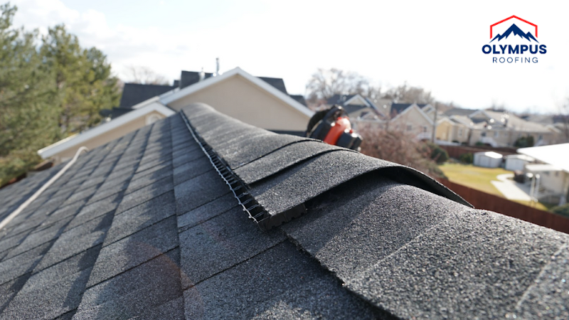 Olympus Roofing photo 3