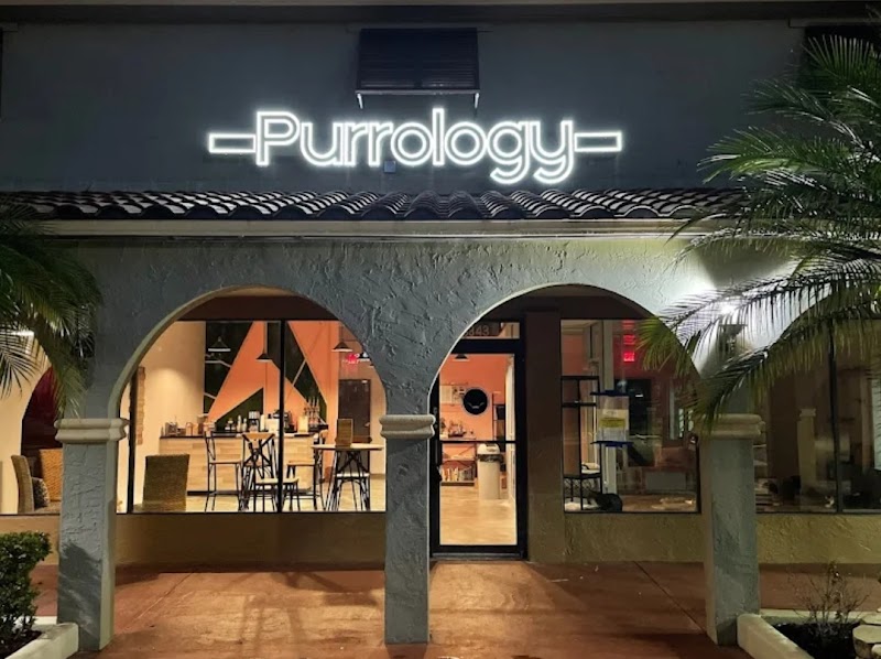 Purrology Cat Cafe