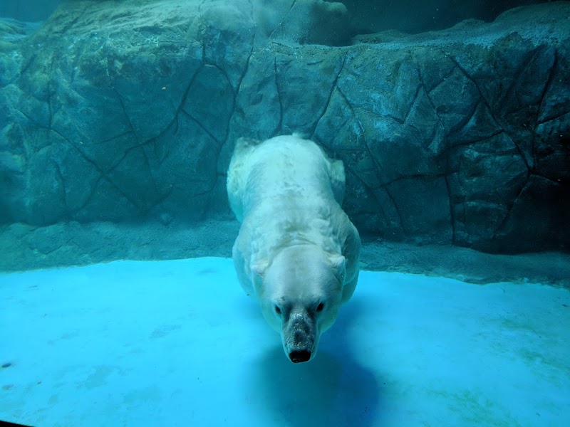 Aquário de São Paulo