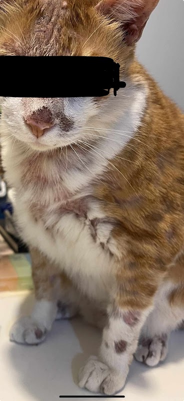Belly Rub Veterinary Clinic & Pet Services