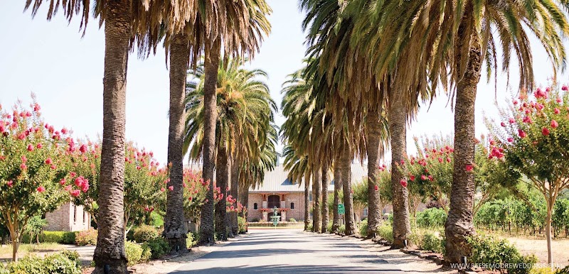 Palm Event Center in the Vineyard