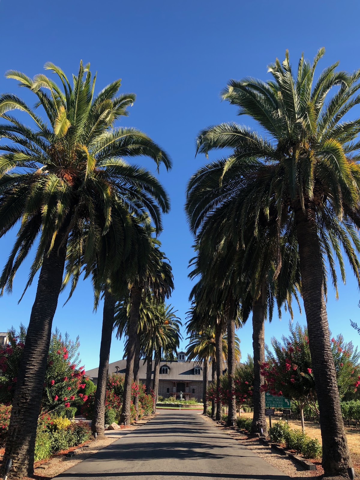 Palm Event Center in the Vineyard: Google Places image 4