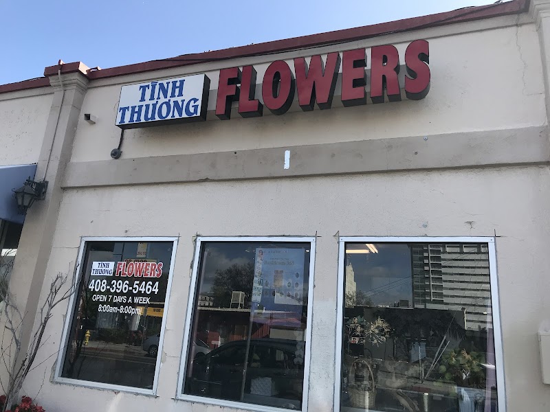 Tình Thương Flowers