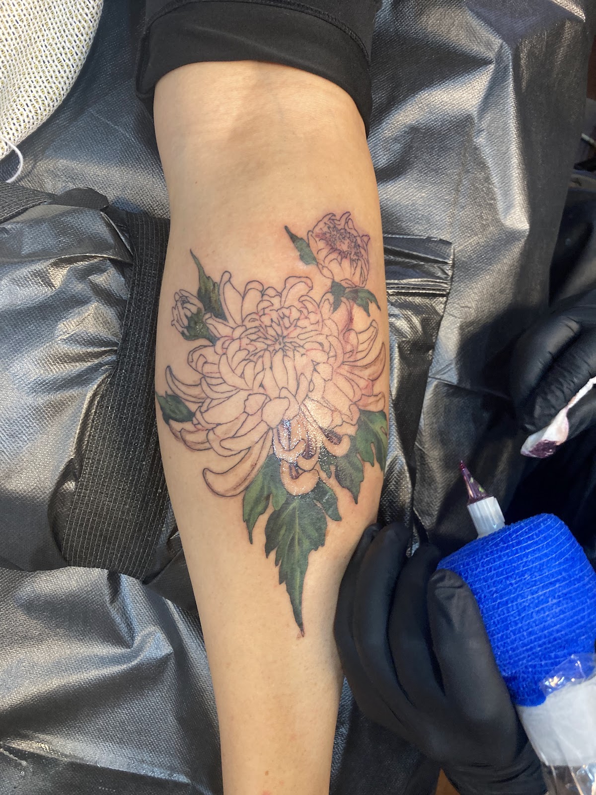 San Antonio Rose Tattoo tattoo parlor in Schertz, TX