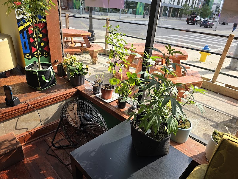 Teapot Cafe photo 1