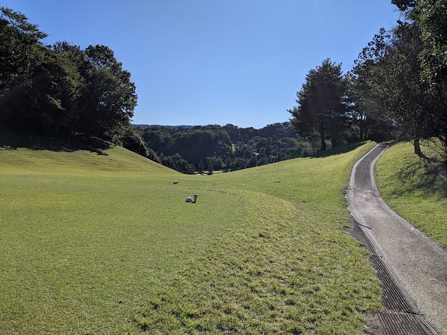 Rainbow Country Club - Photo 7