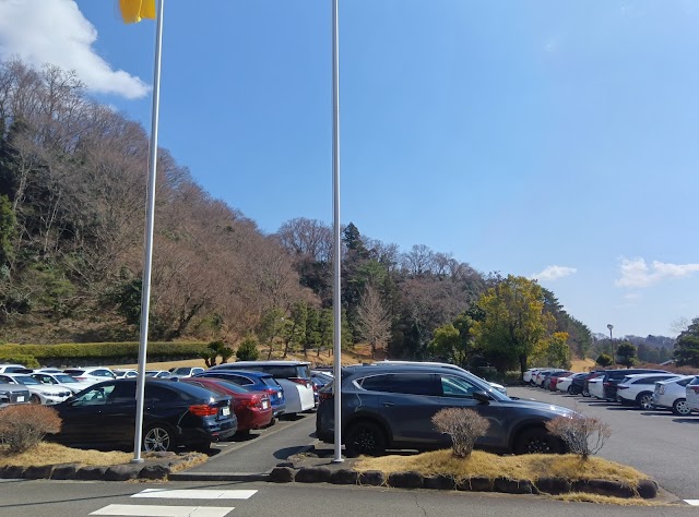 Rainbow Country Club - Photo 8