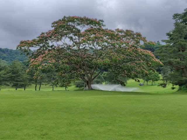 Rainbow Country Club - Photo 9