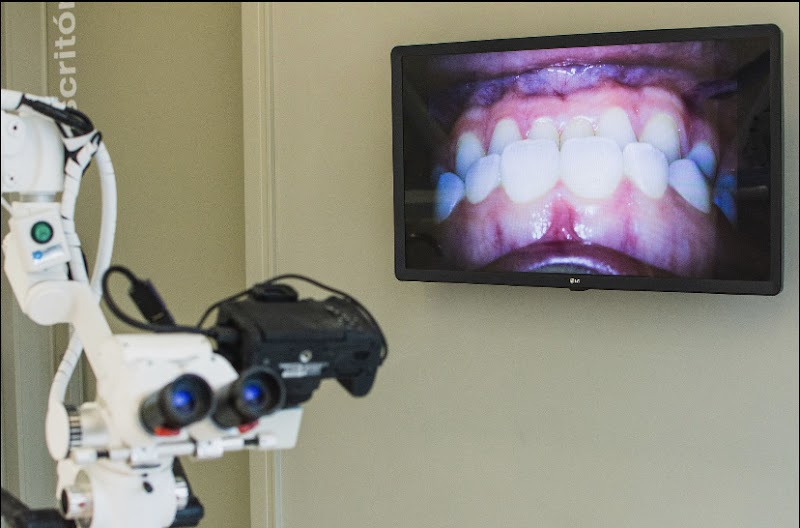 Dra. Monique Lima Pitzschk - foto 5