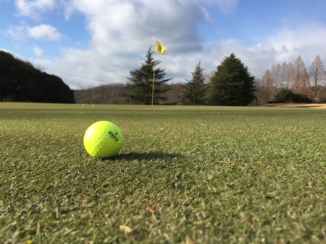 Reitaku Mizunami Golf Club Kogen Course - Photo 7