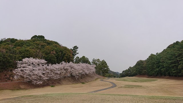 Izumisano Country Club - Photo 8
