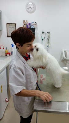 מרכז רפואי וטרינרי אילן - דר' עירית אילן