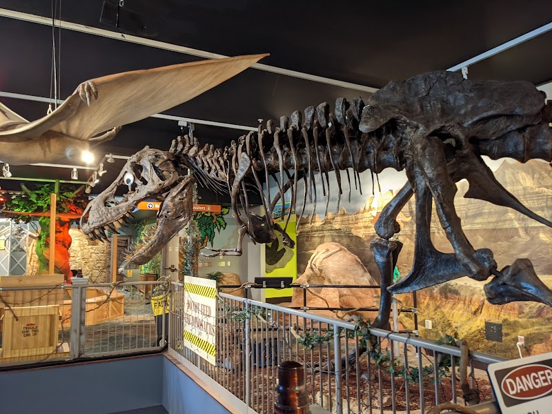 Washington Pavilion photo 4