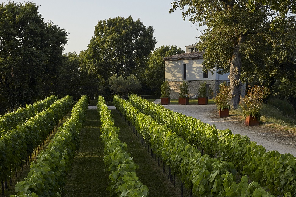 Feudi di San Gregorio - Wine Estate