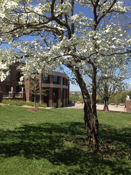 The Clayton Center for the Arts – Ronald and Lynda Nutt Theatre