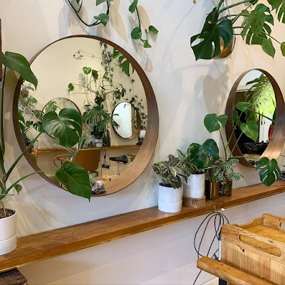 Plumage Salon photo 3