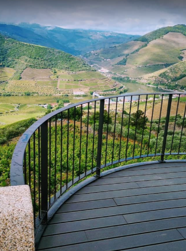 Quinta do Jalloto - Family vineyards
