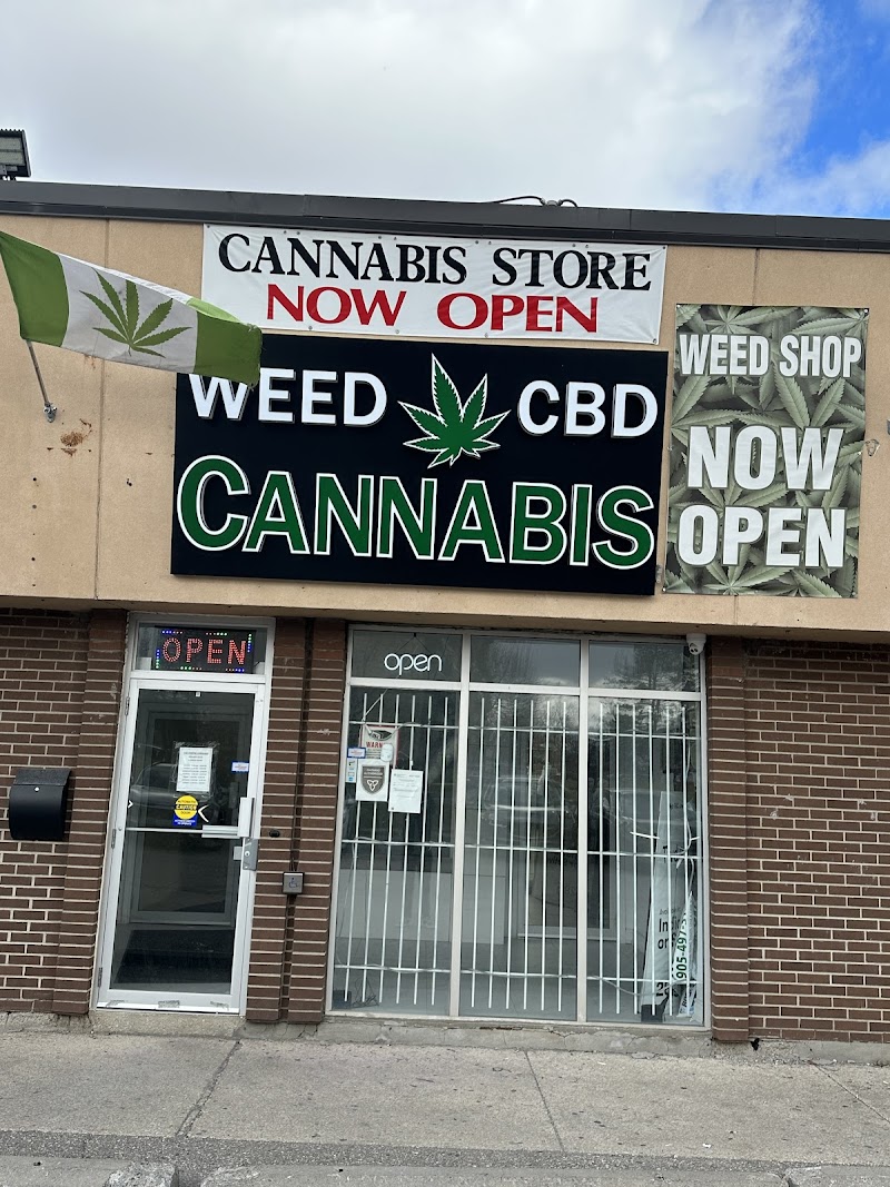 THC Cannabis Dispensary