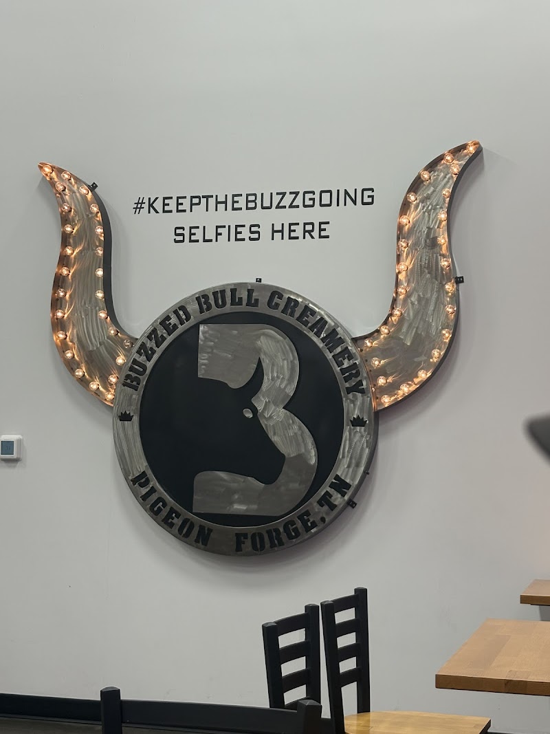 Buzzed Bull Creamery - Pigeon Forge, TN photo 4