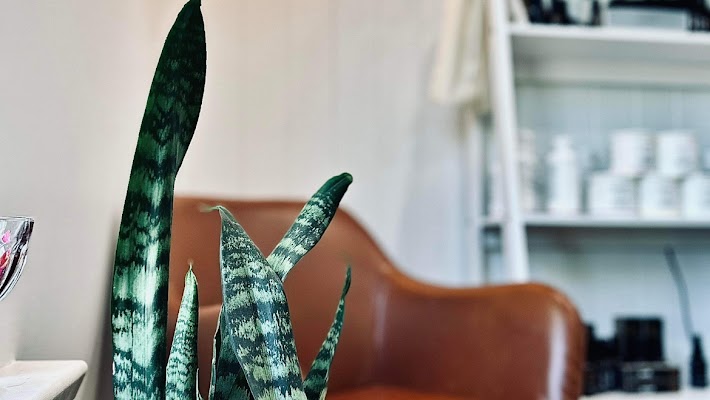 DM Hair Lounge Mawson Lakes