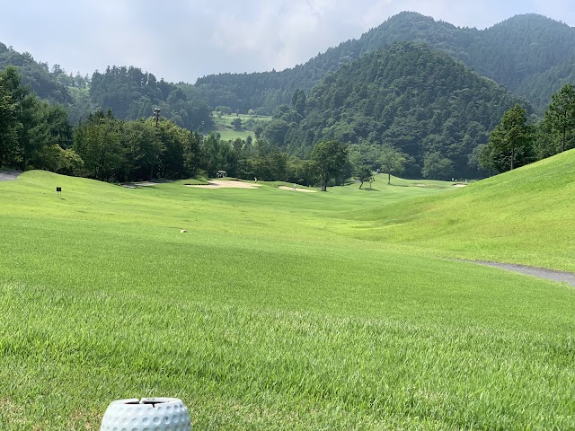 Green Park Country Club - Photo 1