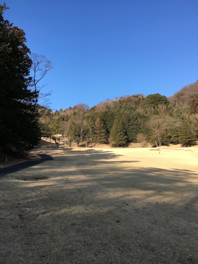 Green Park Country Club - Photo 6