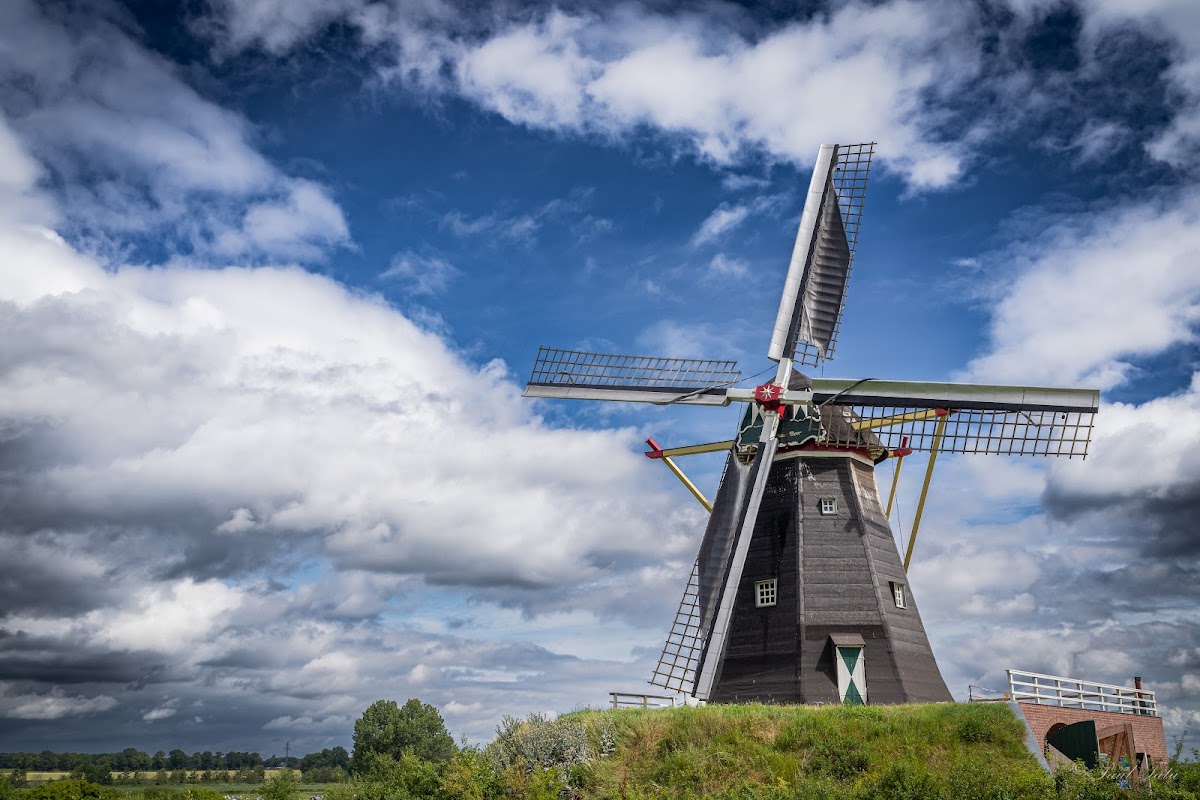 De Grauwe Beer (Molen)