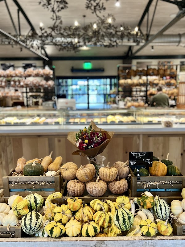 Photo by Renee Stengel