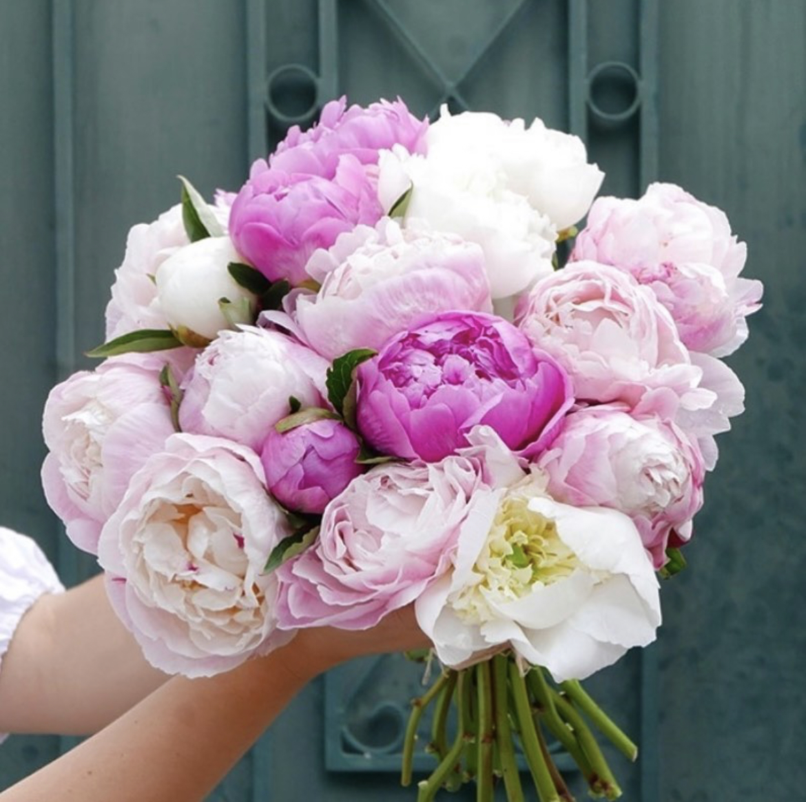 Luxury Flowers Coconut Grove: Google Places image 2