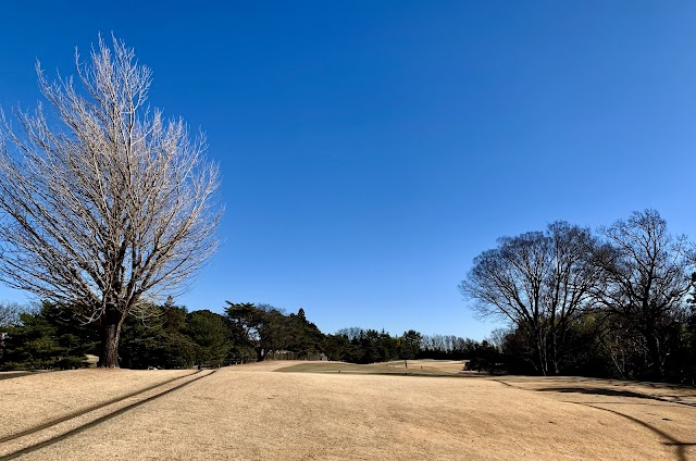 Kawasaki International Ikuta Ryokuchi Golf Course - Photo 5