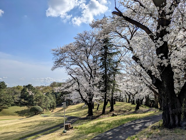 Kawasaki International Ikuta Ryokuchi Golf Course - Photo 7