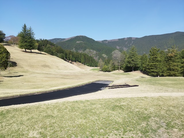 Ace Golf Course - Photo 1