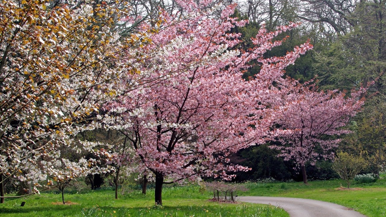 Batsford Arboretum