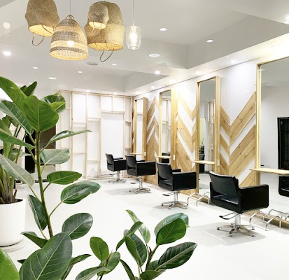 The Vine Hairstylist