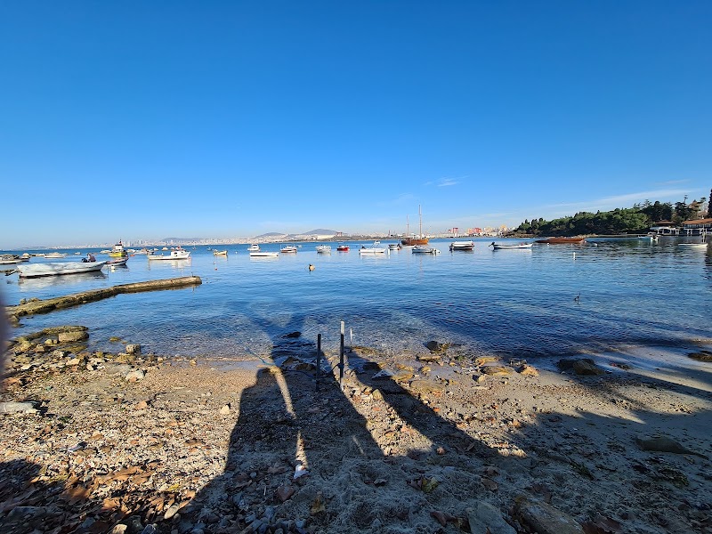 Tuzla Mercan sahili - Tuzla Restoran