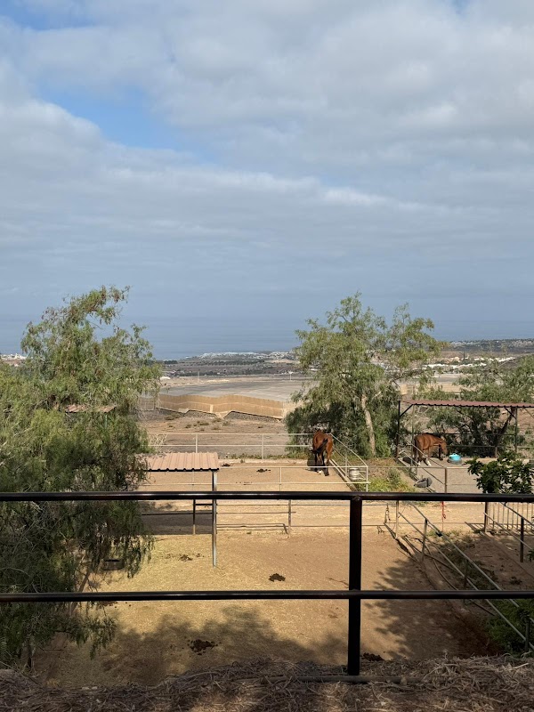 Horseback Riding in Costa Adeje