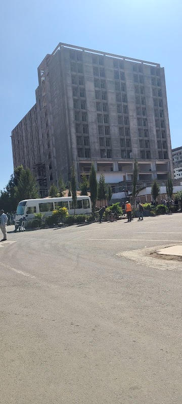 The Macedonians Humanitarian Association (MHA)