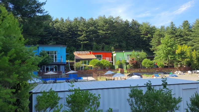 위드펫빌리지 횡성군 애견숙소