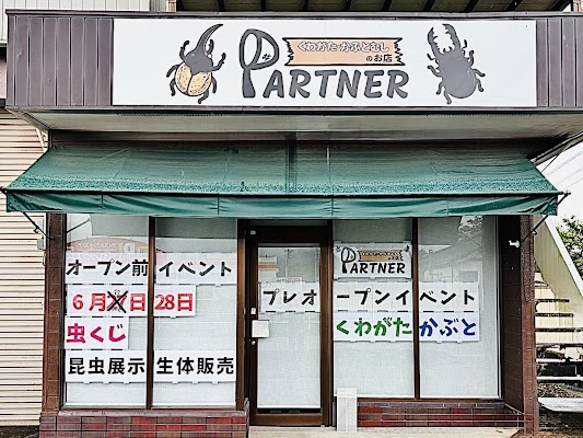 PARTNER